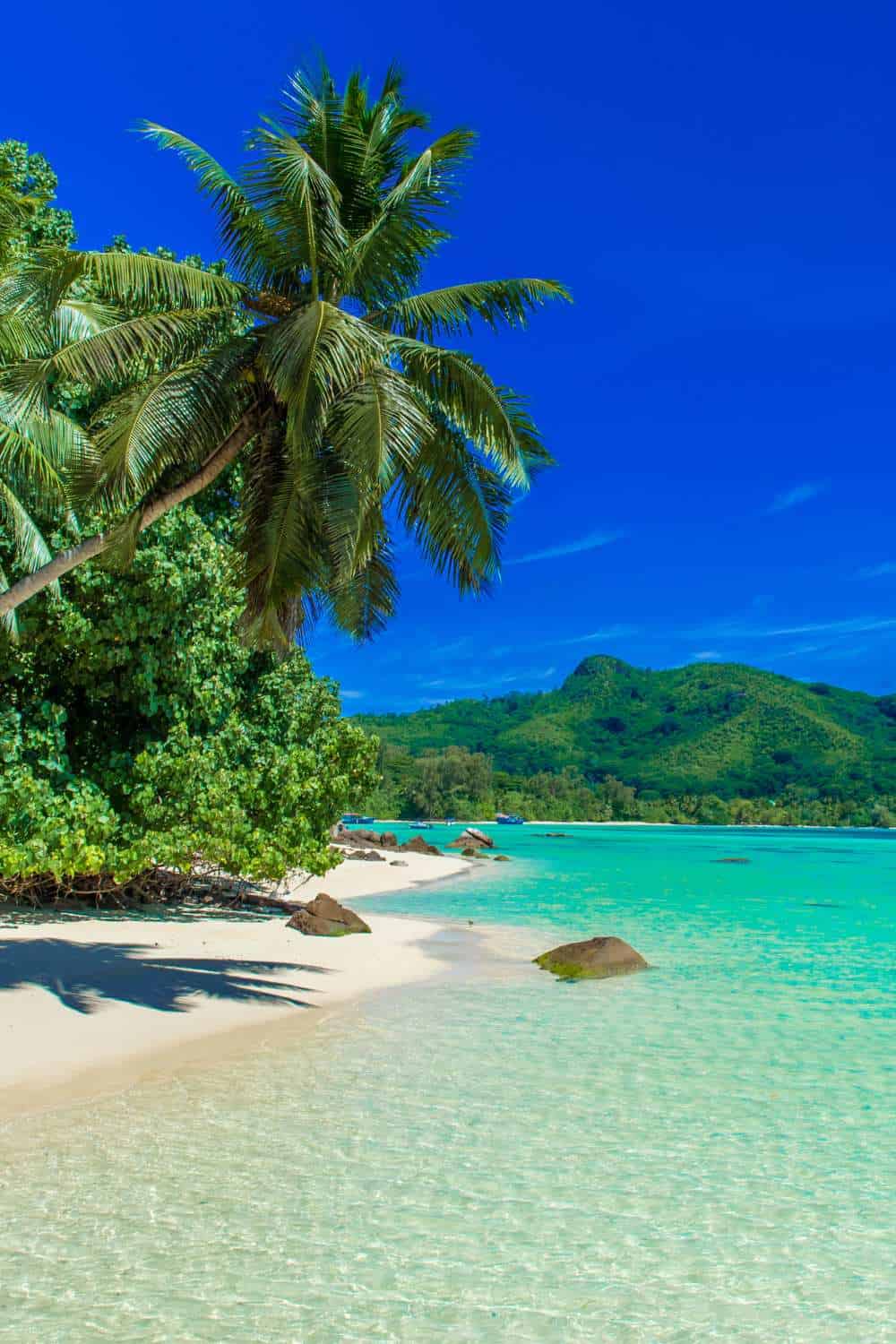 50+ Couples Vision Board Ideas & 'How To' Guide For a Dream Life