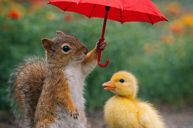 100 Random Acts of Kindness That Are So Easy!