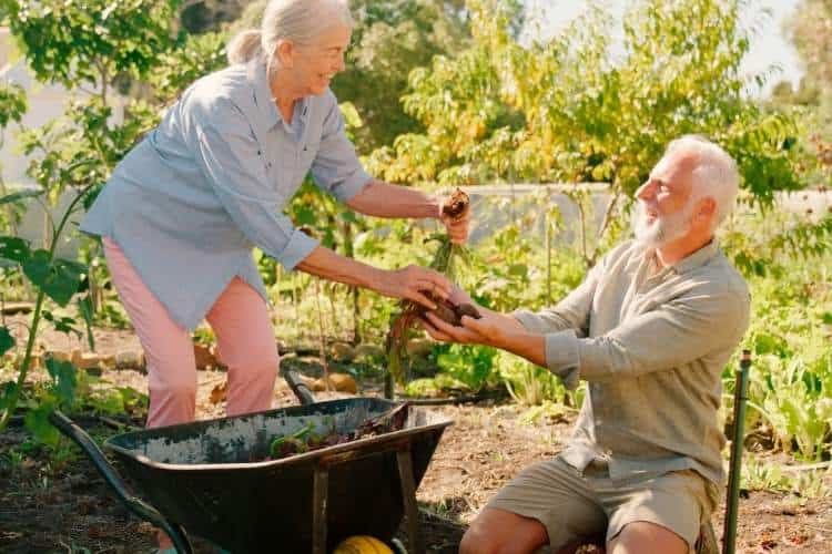 retired couple gardening